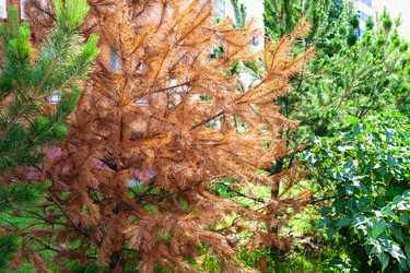 Similar image 21062079