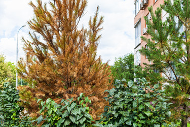 Similar image 21062081