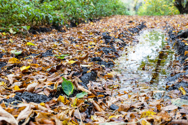 Similar image 21062218