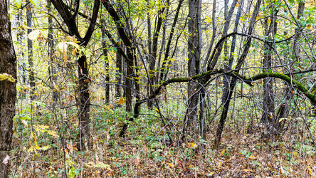 Similar image 21063689