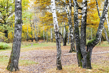 Similar image 21065304