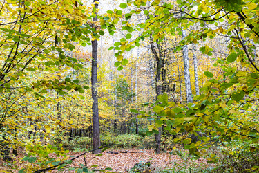 Similar image 21065972