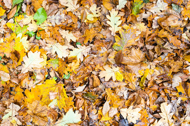 Similar image 21066677