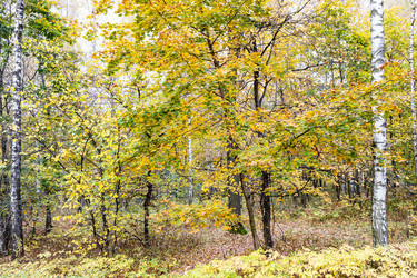 Similar image 21072158