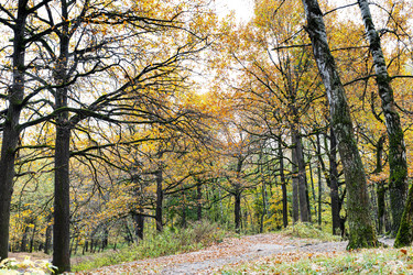 Similar image 21072159