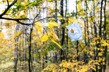 Similar image 21072313