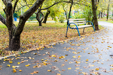 Similar image 21075801