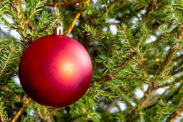 Similar image 21060435