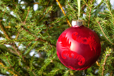 Similar image 21060663