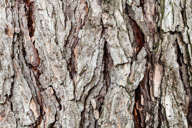 Similar image 21060436