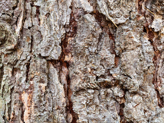 Similar image 21060665