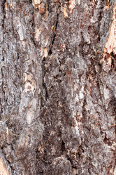 Similar image 21060667