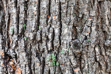 Similar image 21060671