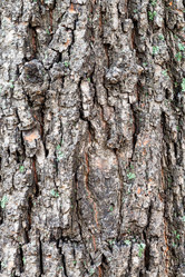 Similar image 21061752