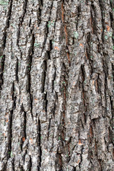 Similar image 21061753