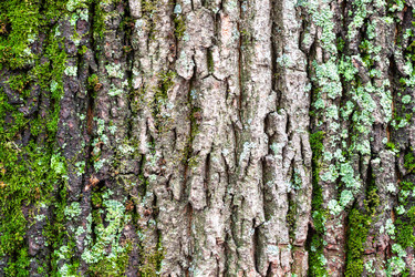 Similar image 21062220