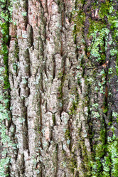 Similar image 21062223