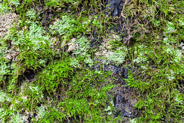 Similar image 21063690