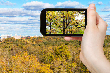 Similar image 21060674