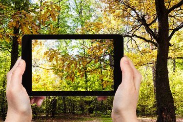 Similar image 21060675