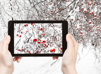 Similar image 21062019