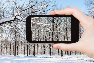 Similar image 21062087