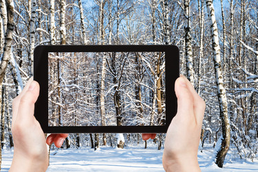 Similar image 21062226