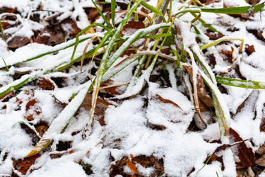 Similar image 21076237