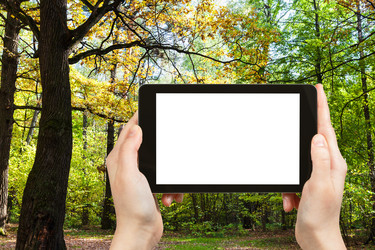 Similar image 21061756