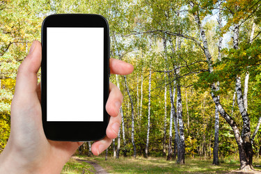 Similar image 21061757