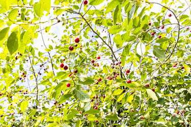 Similar image 21072318