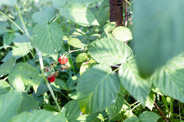 Similar image 21072475