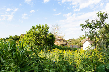 Similar image 21075810