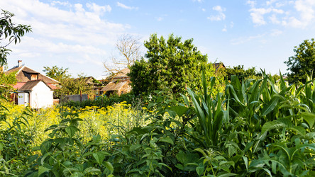 Similar image 21075811