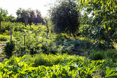 Similar image 21076246