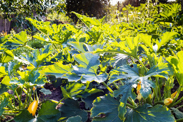 Similar image 21076247