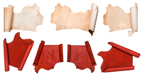 Similar image 21060691