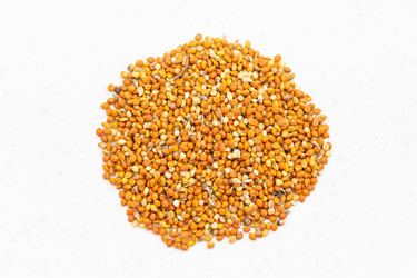 Similar image 21066682