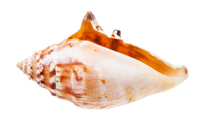 Similar image 21066009