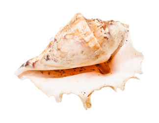 Similar image 21072240