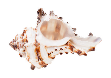 Similar image 21072242