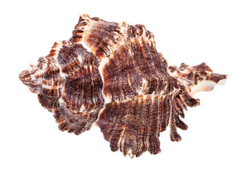 Similar image 21075842