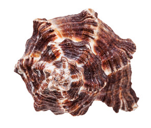 Similar image 21075843