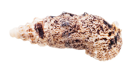 Similar image 21076290