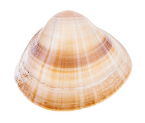 Similar image 21060448