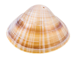 Similar image 21062107