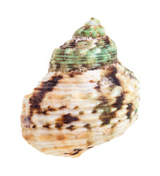 Similar image 21062363