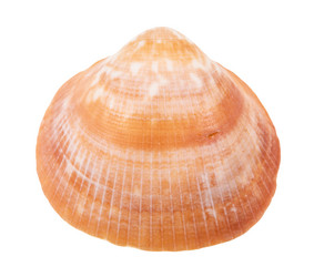 Similar image 21065488