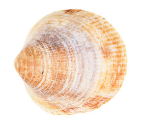 Similar image 21065521