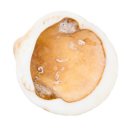 Similar image 21066013